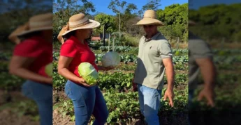 Marilene, secretária de Agricultura, e os produtores Jader e Patrícia com repolhos, cenouras e alfaces colhidos na horta em Carlinda, crédito: Prefeitura Municipal de Carlinda / Instagram