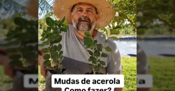 Homem em chapéu de palha com barba mostrando mudas de acerola prontas em sacos de plantio. Crédito: @agronomodevera no Instagram.