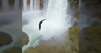 Imponente cachoeira em Campo Novo do Parecis com um arco-íris, cercada por vegetação exuberante. Créditos: AventuraMT no Instagram.