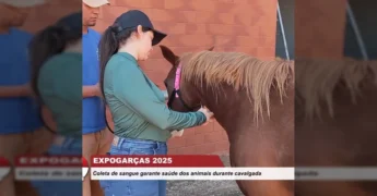 Coleta de sangue em cavalos para a Expogarças 2025 em Alto Garças, imagem de tvriogarcas no Instagram.