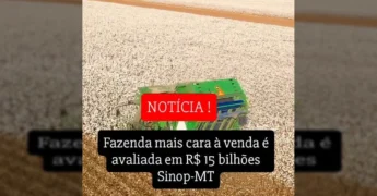Grande colheitadeira de algodão em vasta plantação sob céu azul, representando a fazenda de 15 bilhões em Sinop (MT). Crédito: @agroforte_fazendas no Instagram.