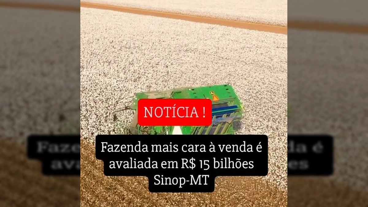 Grande colheitadeira de algodão em vasta plantação sob céu azul, representando a fazenda de 15 bilhões em Sinop (MT). Crédito: @agroforte_fazendas no Instagram.