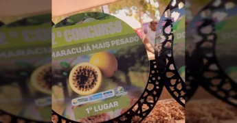 Imagem dos troféus do 2º Concurso do Maracujá em Carlinda, com o logo da Prefeitura de Carlinda ao fundo. Créditos: Prefeitura de Carlinda / Instagram.