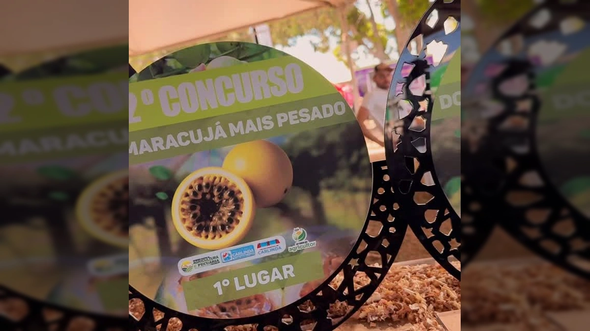 Imagem dos troféus do 2º Concurso do Maracujá em Carlinda, com o logo da Prefeitura de Carlinda ao fundo. Créditos: Prefeitura de Carlinda / Instagram.