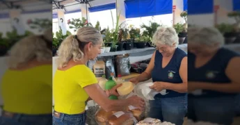 Feira Municipal de Matupá, Osvaldo Turcatto, movimentada com pessoas comprando produtos frescos. Créditos: Prefeitura Municipal de Matupá / Instagram.
