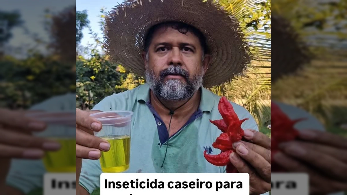 Homem em chapéu de palha mostrando pimentas e um copo de líquido amarelo para inseticida orgânico. Crédito: agronomodevera / Instagram