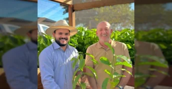 Viveiro municipal de União do Sul com mudas de café, em parceria com a Prefeitura Municipal de União do Sul-MT. Créditos: Prefeitura Municipal de União do Sul-MT / Instagram.