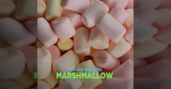 Imagem de uma mulher sorrindo em um campo de milho, com um chapéu, óculos de sol, segurando um marshmallow e uma embalagem. Créditos: Aprosoja Mato Grosso / Instagram.