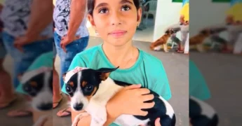 Cenas do mutirão de castração de cães em Santa Carmem, com pessoas e animais. Créditos: Prefeitura de Santa Carmem / Instagram.