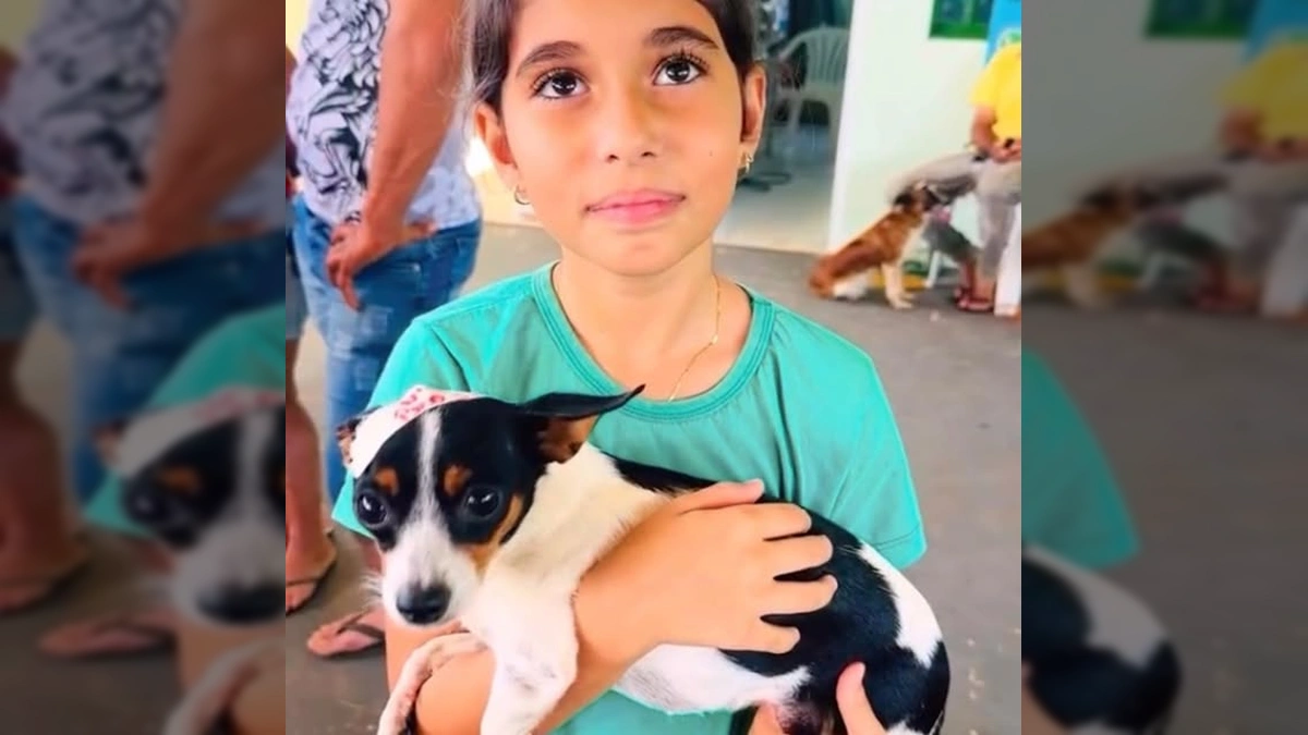 Cenas do mutirão de castração de cães em Santa Carmem, com pessoas e animais. Créditos: Prefeitura de Santa Carmem / Instagram.