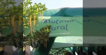Mutirão Rural em Alta Floresta oferecendo diversos serviços essenciais para a comunidade rural, incluindo saúde e assistência social. Crédito: @prefeituraaltafloresta