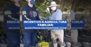 Um homem em chapéu de palha e máscara branca recebe mudas cítricas para plantio em Guarantã do Norte. Crédito: Prefeitura Municipal de Guarantã do Norte / Instagram