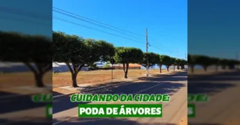 Homem podando uma árvore no alto de uma estrutura, vista da poda de árvores em Campos de Júlio com o caminhão triturador, crédito à Prefeitura Municipal de Campos de Júlio - MT / Instagram.