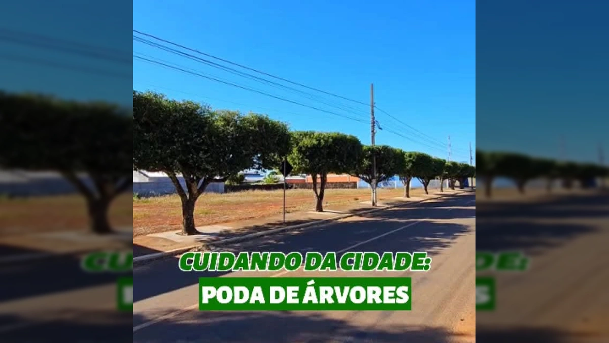 Homem podando uma árvore no alto de uma estrutura, vista da poda de árvores em Campos de Júlio com o caminhão triturador, crédito à Prefeitura Municipal de Campos de Júlio - MT / Instagram.