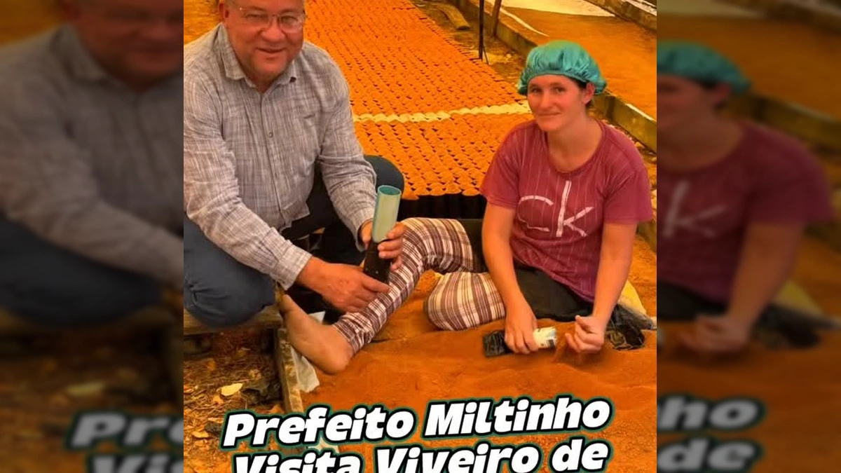 Imagem do Prefeito Miltinho visitando o viveiro de café da Família Beling em Colniza, créditos à Prefeitura de Colniza no Instagram.