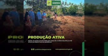 Grupo de pessoas, incluindo membros da comunidade Kalapalo, em uma área de plantio demonstrando o apoio à agricultura familiar em Querência. Créditos: Prefeitura de Querência-MT / Instagram.