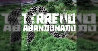 Imagem de terreno sujo e equipes de fiscalização em Rondonópolis - Créditos: Prefeitura de Rondonópolis / Instagram