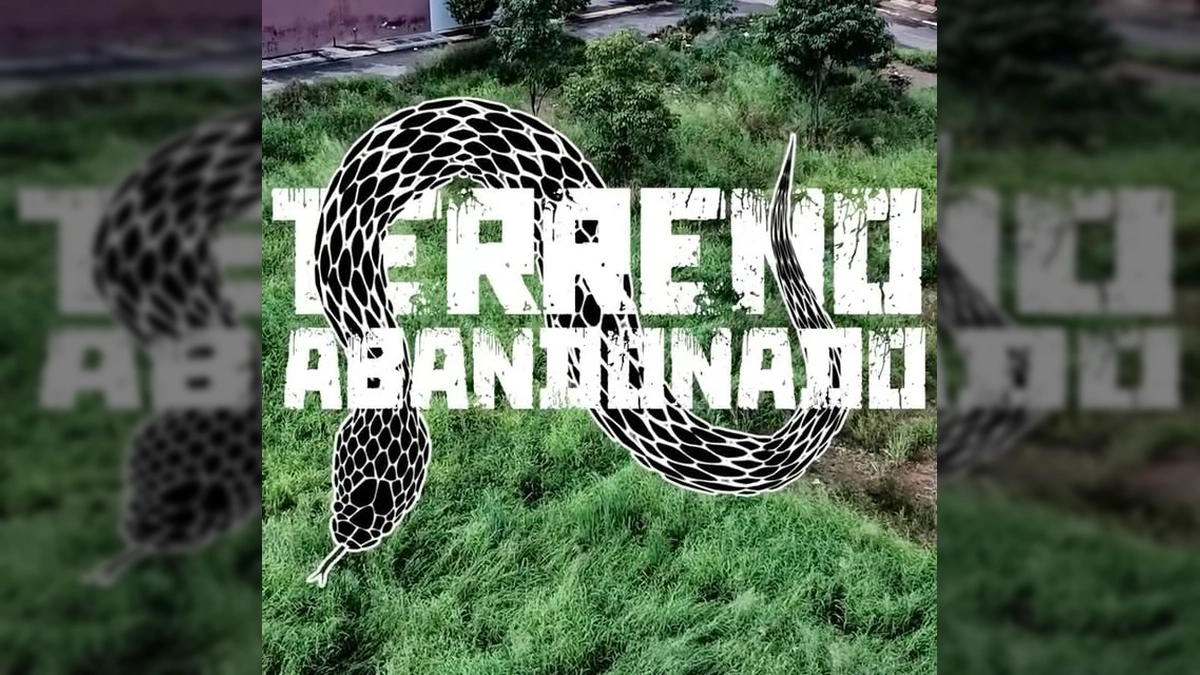 Imagem de terreno sujo e equipes de fiscalização em Rondonópolis - Créditos: Prefeitura de Rondonópolis / Instagram