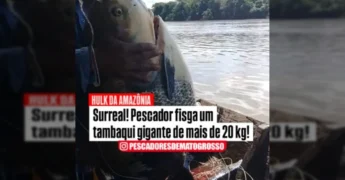Pescador exibe tambaqui de mais de 20 kg. Crédito: @pescadoresdematogrosso / Instagram.