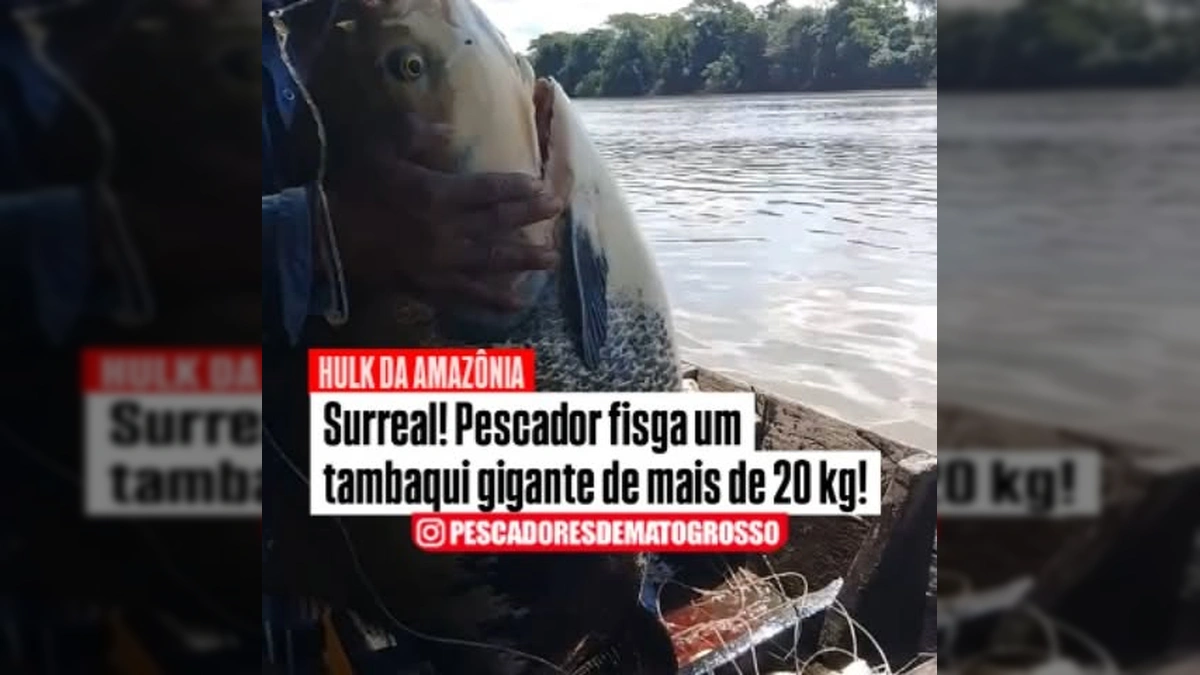 Pescador exibe tambaqui de mais de 20 kg. Crédito: @pescadoresdematogrosso / Instagram.