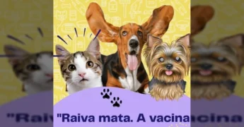 Um gato e dois cães na campanha de vacinação contra a raiva em União do Sul, promovida pela Prefeitura.