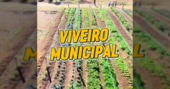 Horta produtiva do Viveiro Municipal de Nova Monte Verde. Créditos: Prefeitura de Nova Monte Verde / Instagram