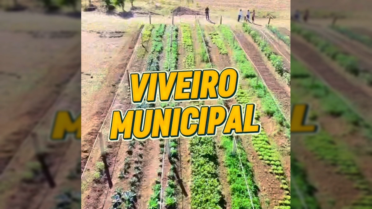 Horta produtiva do Viveiro Municipal de Nova Monte Verde. Créditos: Prefeitura de Nova Monte Verde / Instagram
