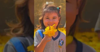 Cenas da campanha Agosto Dourado em Tapurah com amamentação e crianças e ipês amarelos - Prefeitura de Tapurah