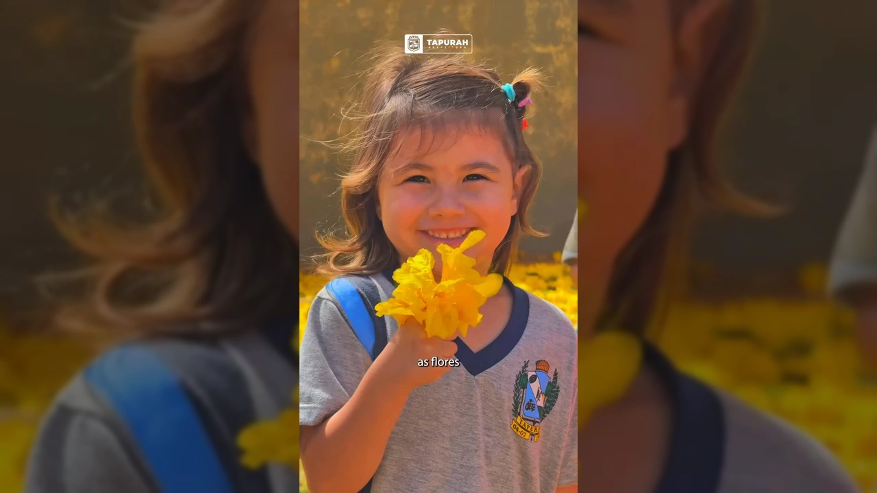 Cenas da campanha Agosto Dourado em Tapurah com amamentação e crianças e ipês amarelos - Prefeitura de Tapurah