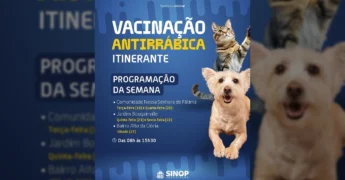Cachorro e gato representam a campanha de vacinação antirrábica da Prefeitura de Sinop / Instagram