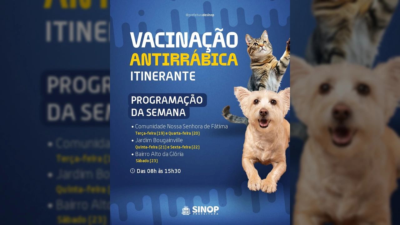 Cachorro e gato representam a campanha de vacinação antirrábica da Prefeitura de Sinop / Instagram