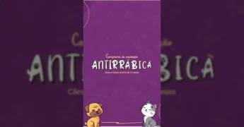 Imagem de um cão sendo vacinado pela Prefeitura de Lucas do Rio Verde em campanha antirrábica