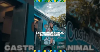 Veterinários e autoridades na primeira castração móvel em Cocalinho, iniciativa da Prefeitura. Créditos: Prefeitura de Cocalinho / Instagram.