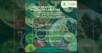 Cesta com vegetais frescos e legumes ao fundo, ilustrando o tema do curso de aproveitamento de alimentos. Créditos: Sindicato Rural De Colíder / Instagram.