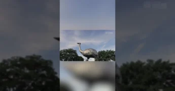 Crescimento e desenvolvimento em Lucas do Rio Verde, Mato Grosso. Créditos: @prefeituradelucasdorioverde / Instagram