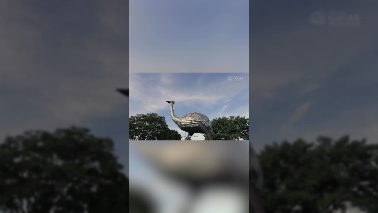 Crescimento e desenvolvimento em Lucas do Rio Verde, Mato Grosso. Créditos: @prefeituradelucasdorioverde / Instagram
