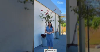 Mulher em escritório apresentando o Portal de Credenciamento Digital do Detran-MT. Créditos: @detranmt