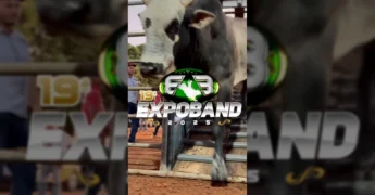 Imagem da Expoband 2025 em Nova Bandeirantes com atividades de rodeio e público. Crédito: Instagram @expobandoficial.