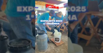 Vacas sendo ordenhadas e leite pesado durante a 3ª ExpoLeite Juína 2025, imagem da Prefeitura de Juína no Instagram.