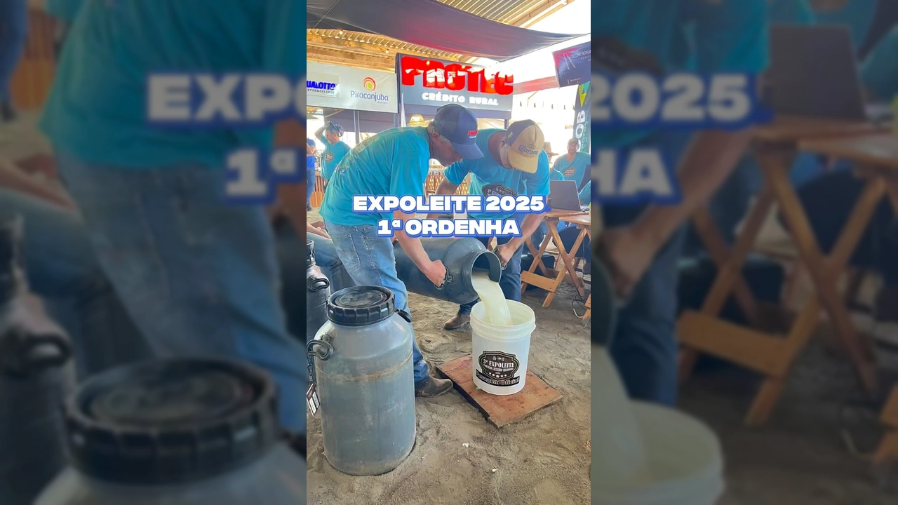 Vacas sendo ordenhadas e leite pesado durante a 3ª ExpoLeite Juína 2025, imagem da Prefeitura de Juína no Instagram.