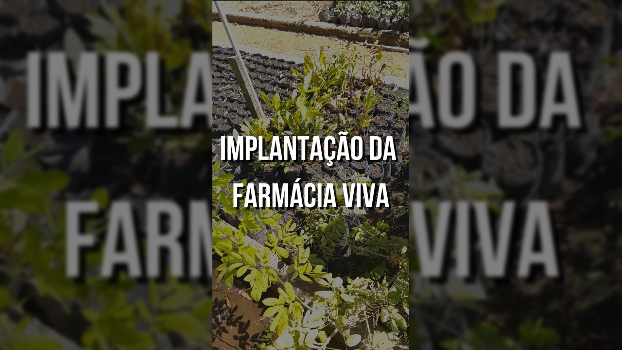 Foto da equipe da Secretaria Municipal de Saúde de Primavera do Leste no local da futura Farmácia Viva, em registro do Instagram secsaudepva.