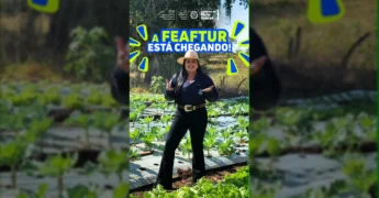 Mulher em plantação divulgando a Feira Estadual da Agricultura Familiar e Turismo Rural (FEAFTUR) em Barra do Garças. Crédito: @seafmt no Instagram.