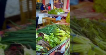 Imagens de queijos, tomates, pães e outros produtos agrícolas em feira de Dom Aquino. Créditos: Prefeitura de Dom Aquino/Instagram.