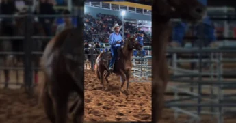 Imagem da competição de Ranch Sorting na Expoeste 2025. Créditos: @sindicatoruralpl / Instagram.