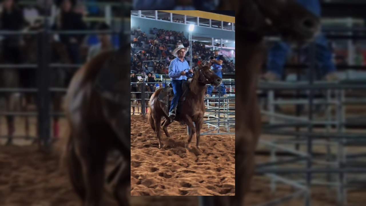 Imagem da competição de Ranch Sorting na Expoeste 2025. Créditos: @sindicatoruralpl / Instagram.