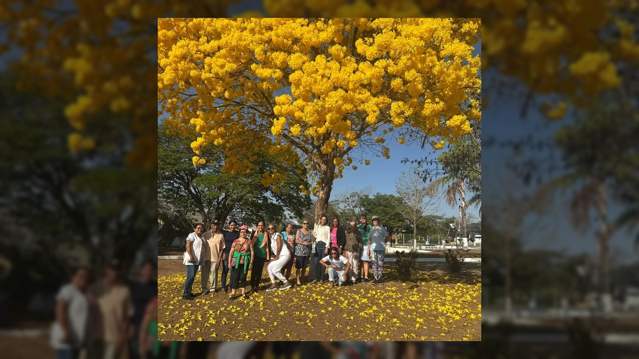 Moradores de Pedra Preta participam de caminhada semanal da PSF da Cohab, incentivando saúde e bem-estar. Créditos: Prefeitura de Pedra Preta-MT no Instagram.