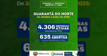 Infográfico com dados do ranking de empresas abertas em Guarantã do Norte de janeiro a julho de 2025, mostrando 4.306 empresas ativas e 635 novas aberturas. Créditos: Prefeitura Municipal de Guarantã do Norte.