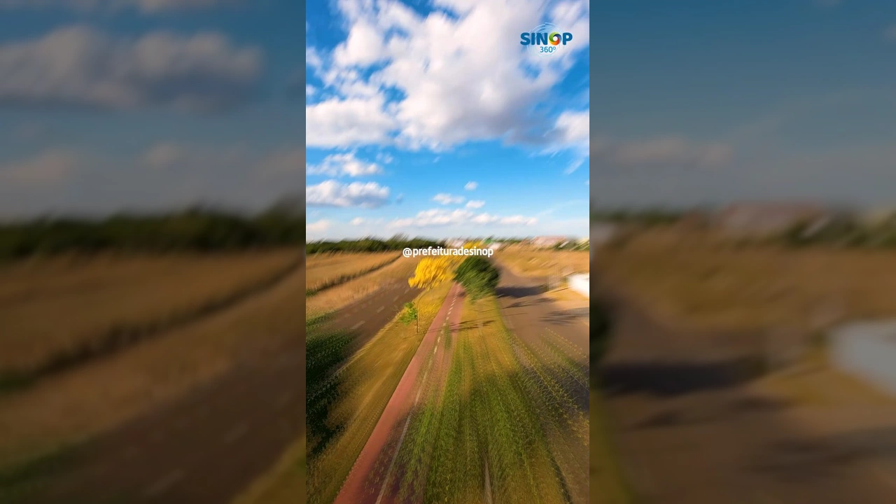 Ipês amarelos em plena floração, colorindo as ruas de Sinop, Mato Grosso, imagem do Instagram da Prefeitura de Sinop.