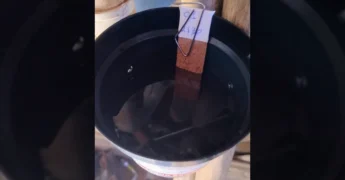 Imagens da equipe da Prefeitura de Matupá implantando e analisando ovitrampas para combater o mosquito da dengue. Crédito: Prefeitura Municipal de Matupá / Instagram