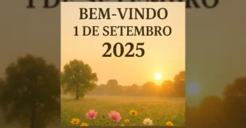 Imagem de nascer do sol em um campo com flores e árvores, marcando o início de Setembro de 2025. Créditos: morarnomatogrosso.
